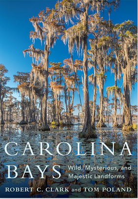 Carolina Bays