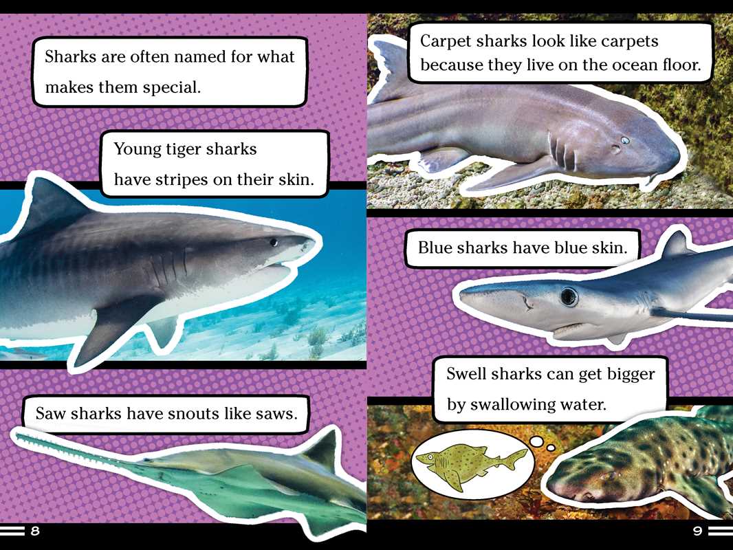 Simon & Schuster - Sharks Can't Smile! by Elizabeth Dennis