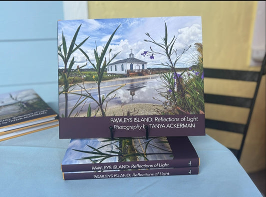 Pawleys Island: Reflections of Light
