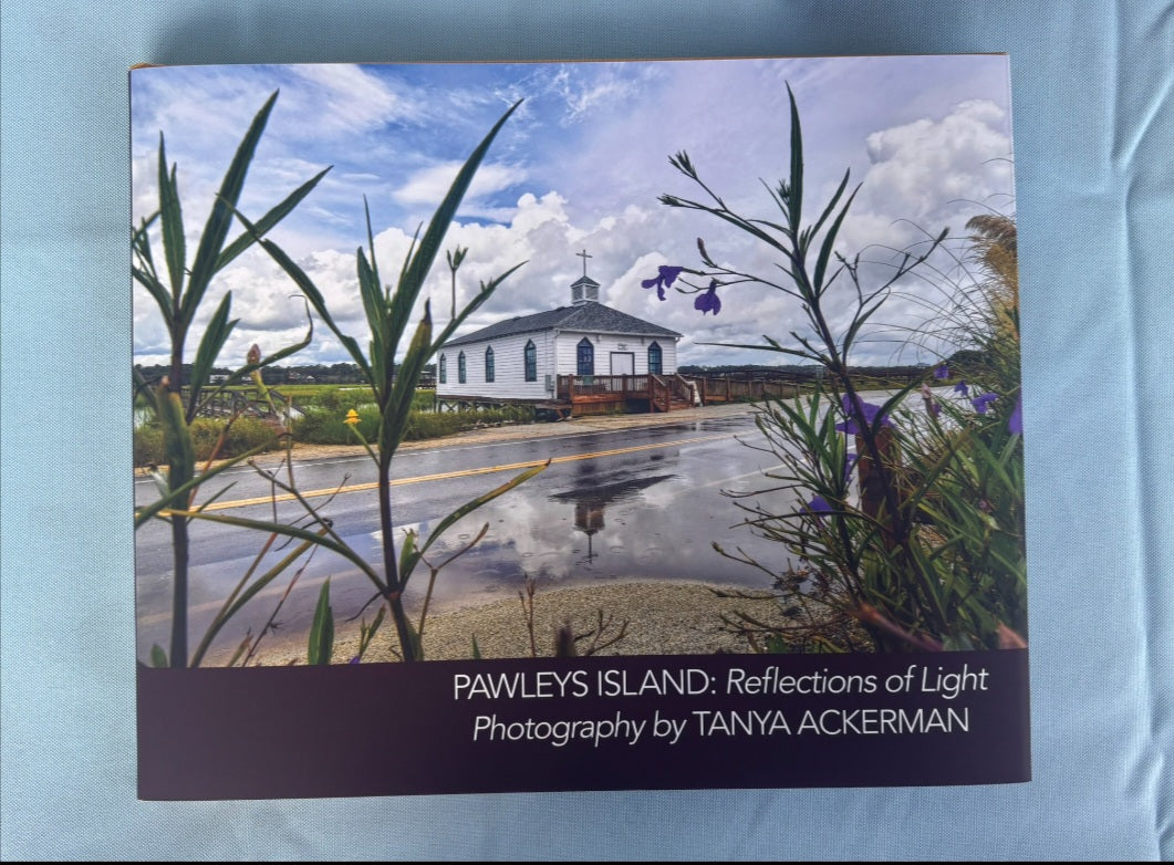 Pawleys Island: Reflections of Light